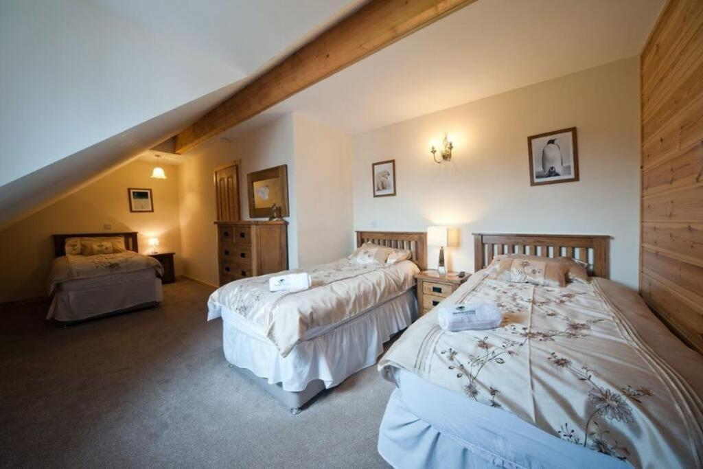 Beech Tree Eco Lodge 브레컨 외부 사진